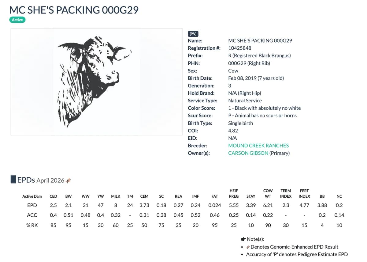 Dam — MC SHE'S PACKING 000G29