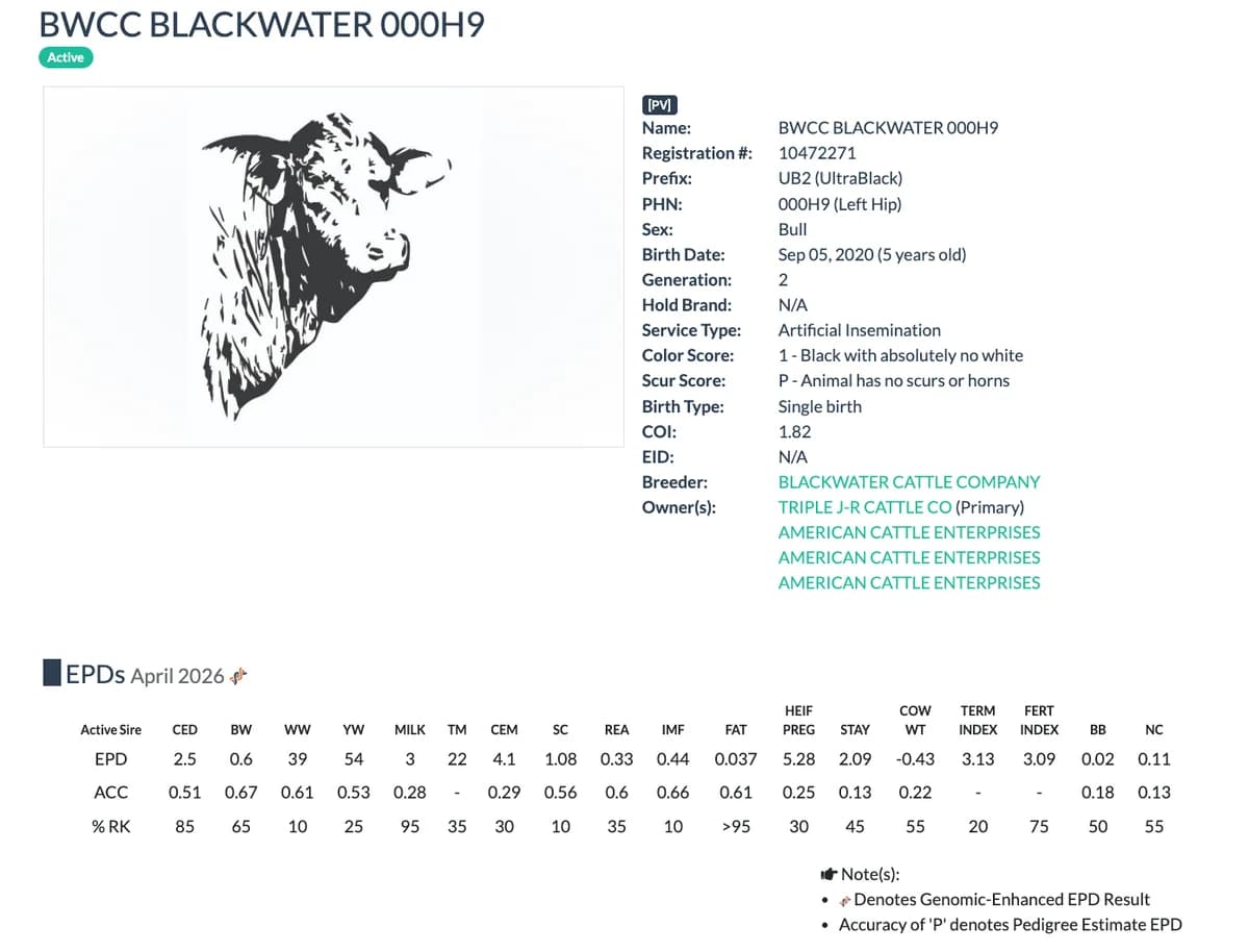 Sire — BWCC BLACKWATER 000H9