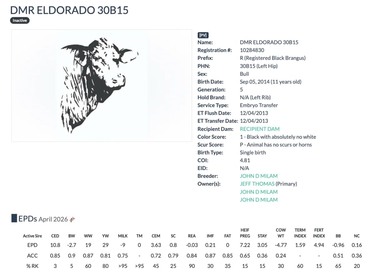Sire — DMR ELDORADO 30B15