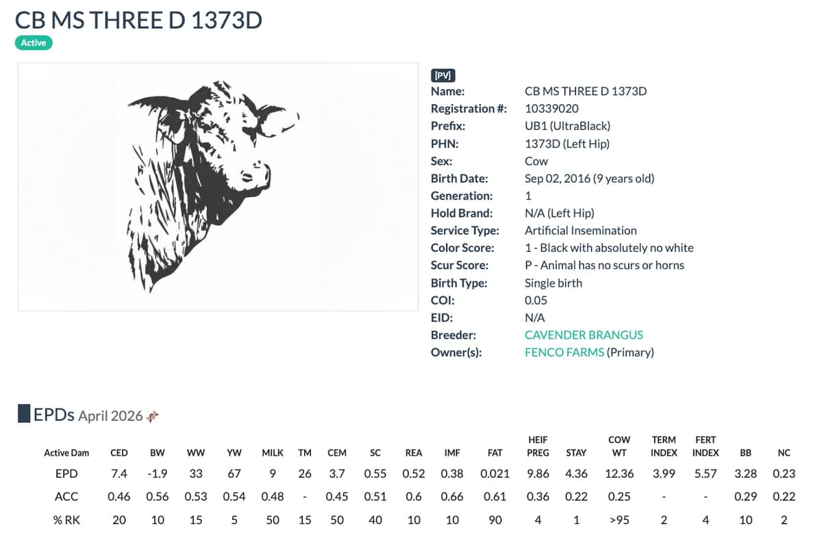 Dam — CB MS THREE D 1373D