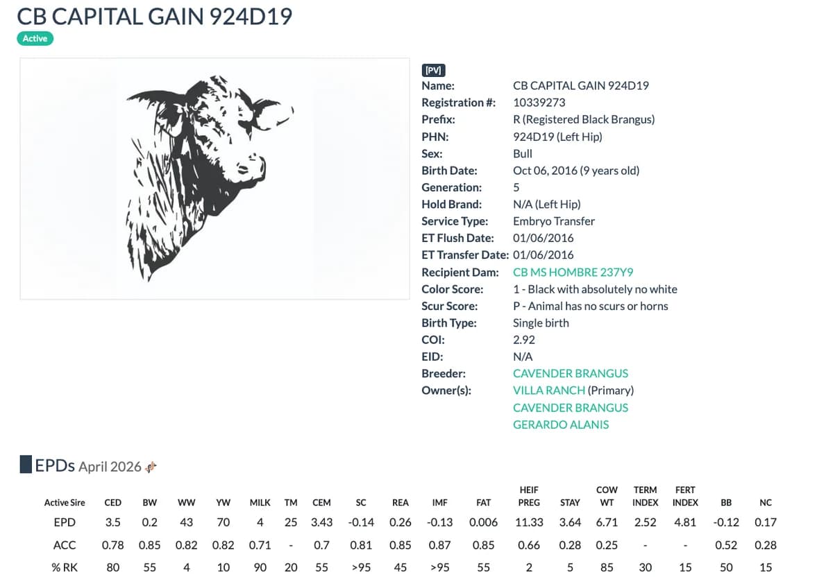 Sire — CB CAPITAL GAIN 924D19