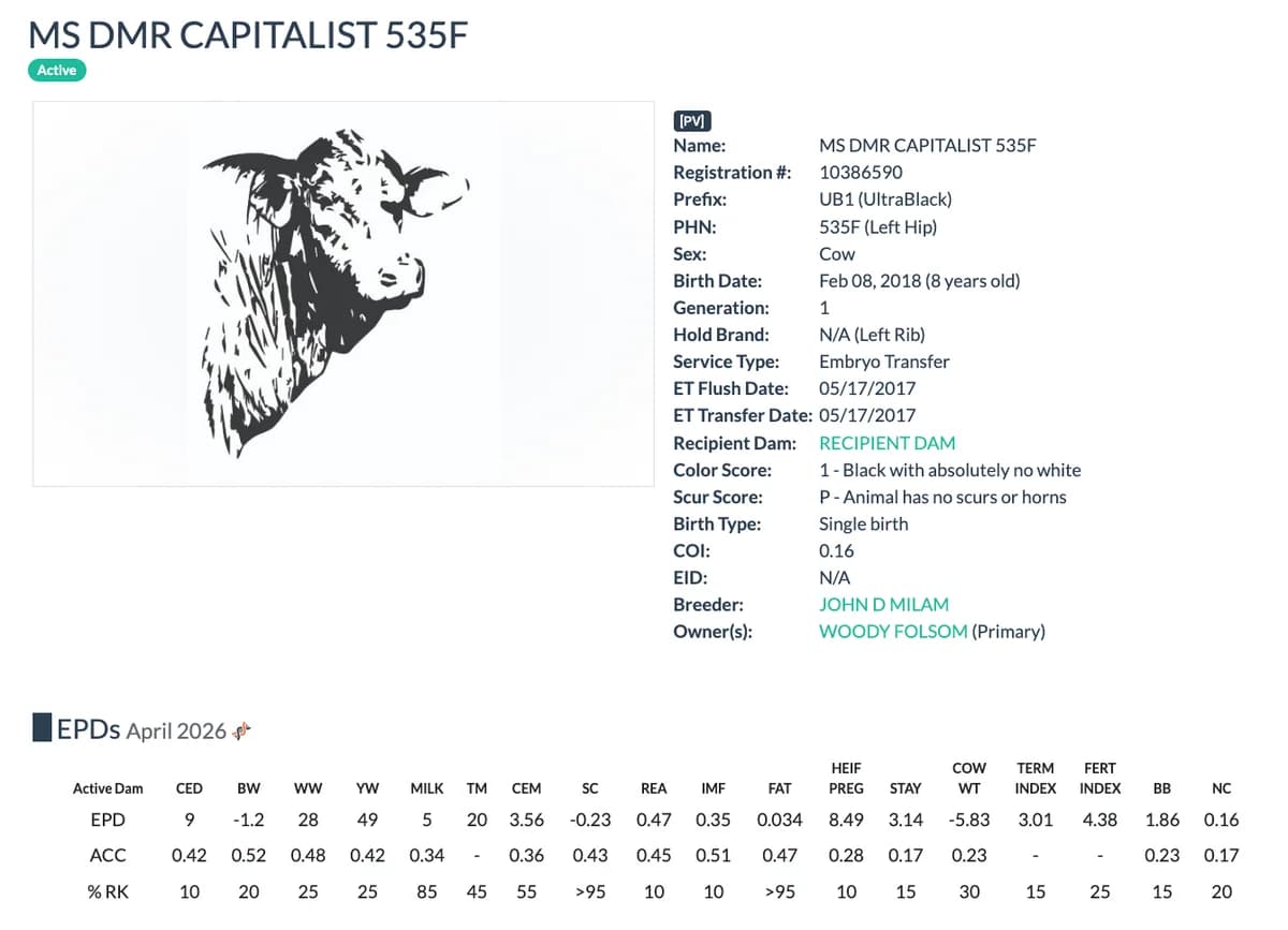 Dam — MS DMR CAPITALIST 535F