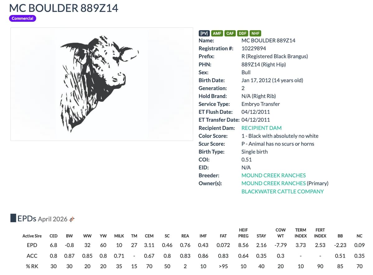 Sire — MC BOULDER 889Z14