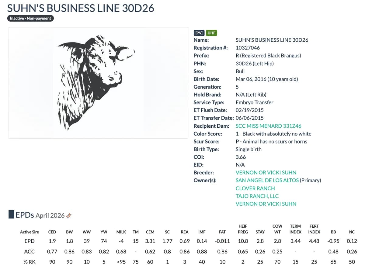 Sire — SUHN'S BUSINESS LINE 30D26