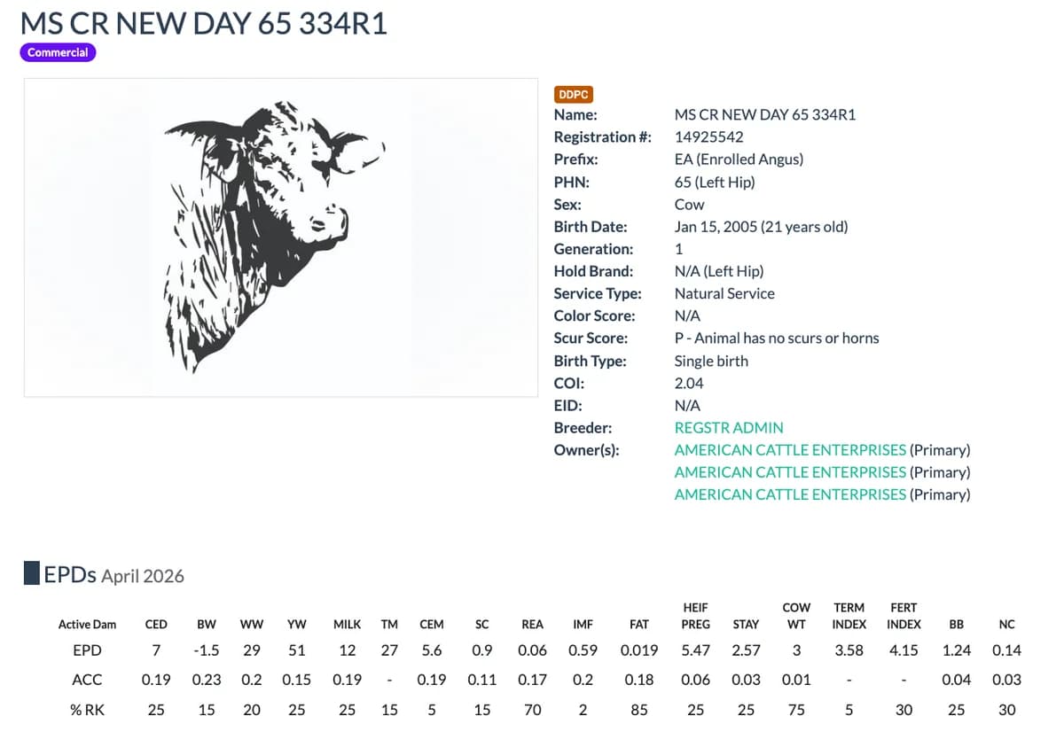 Dam — MS CR NEW DAY 65 334R1