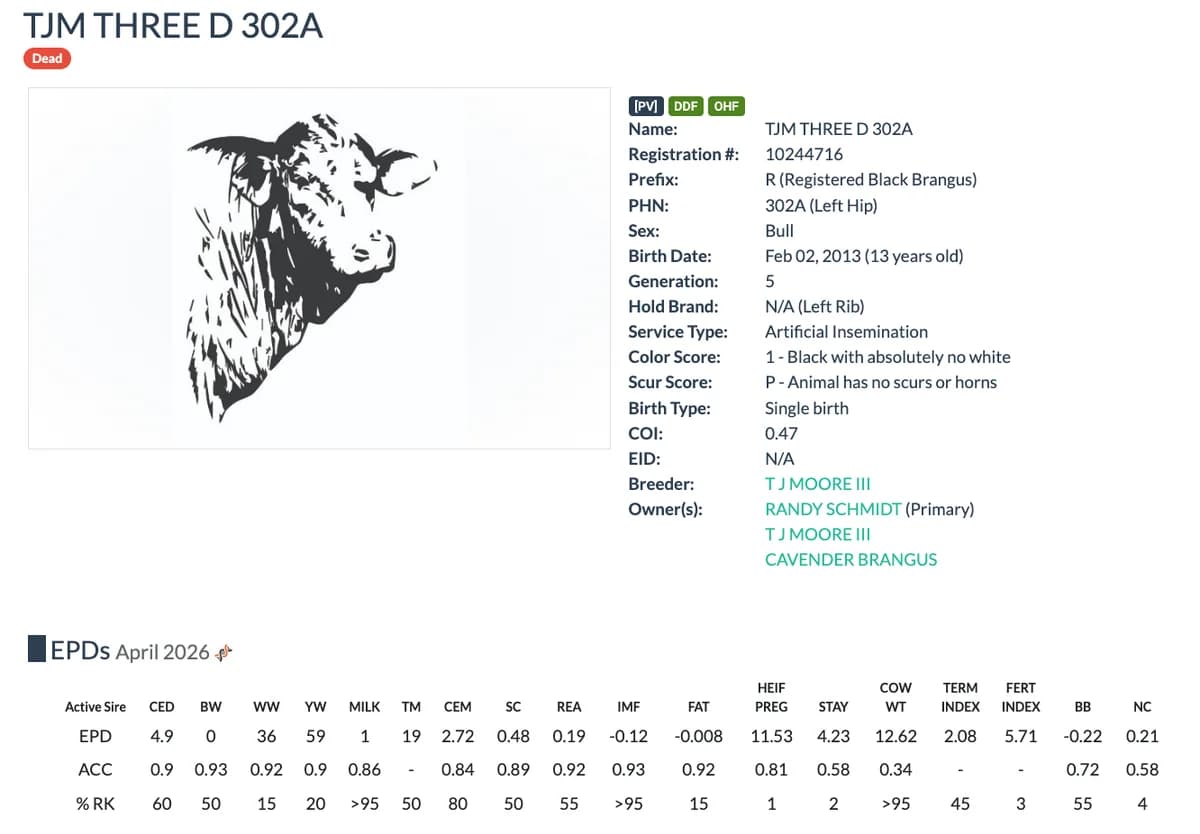 Sire — TJM THREE D 302A