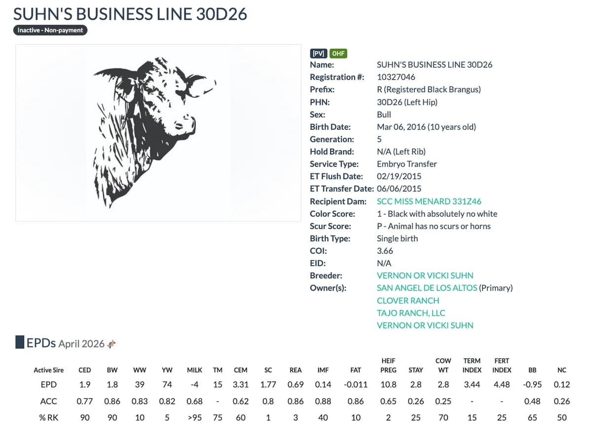 Sire — SUHN'S BUSINESS LINE 30D26
