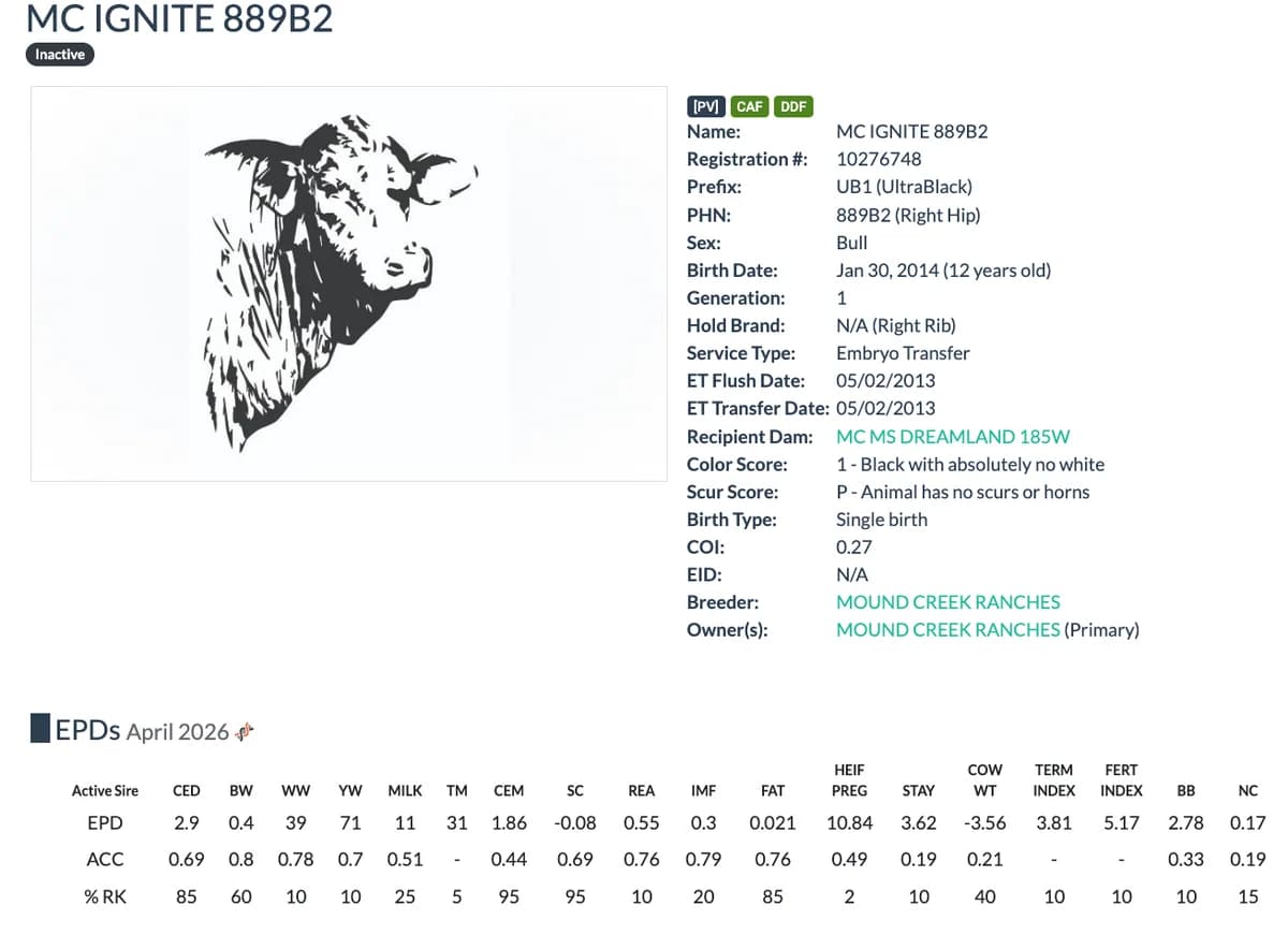 Sire — MC IGNITE 889B2
