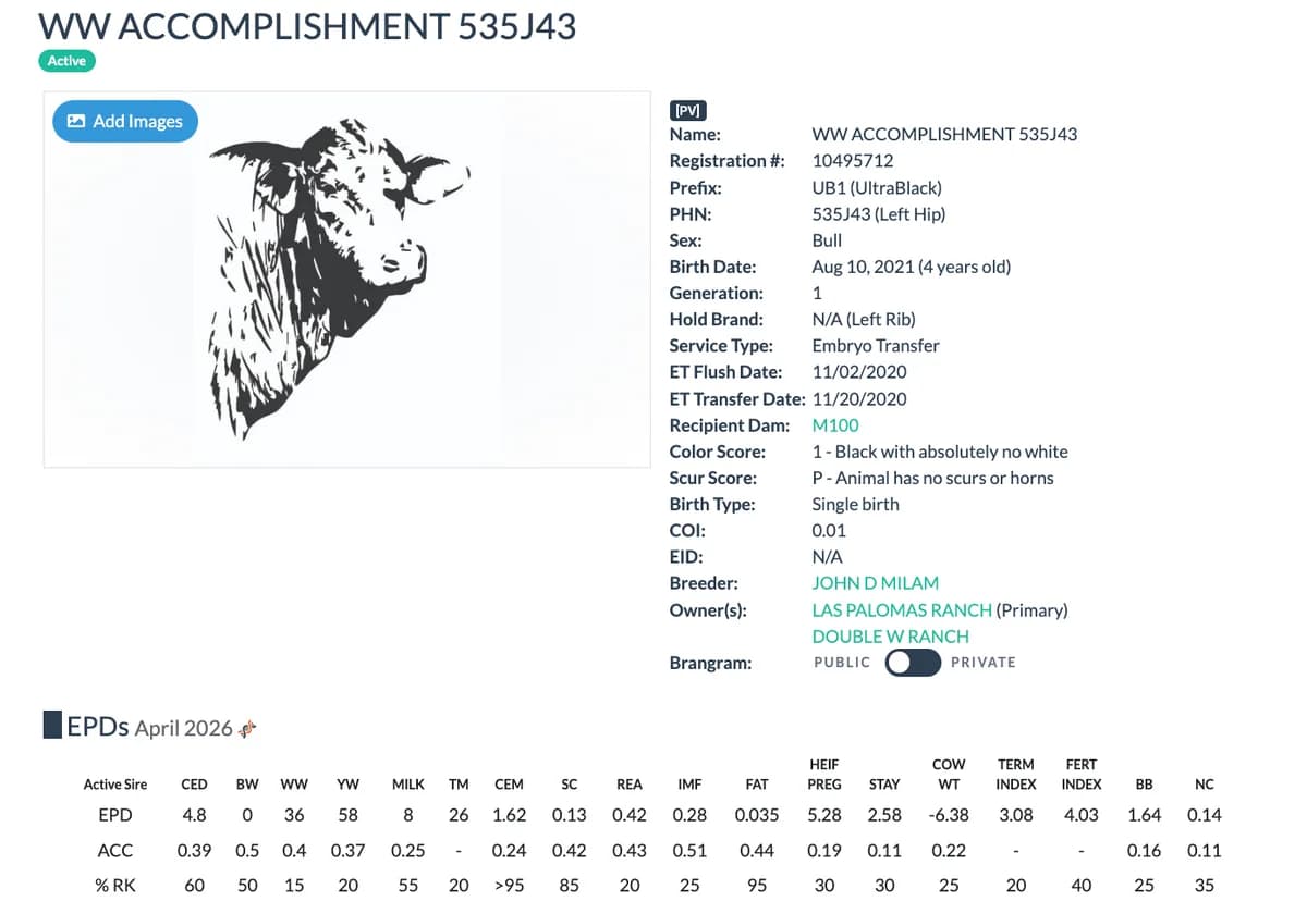 Sire — WW ACCOMPLISHMENT 535J43
