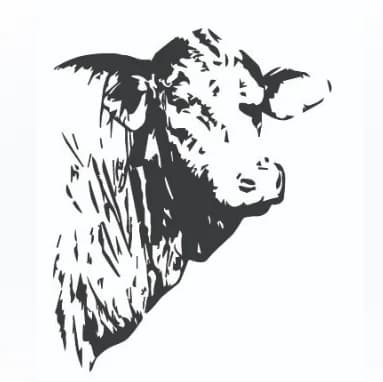 Sire — CB BLOUNT 607G7