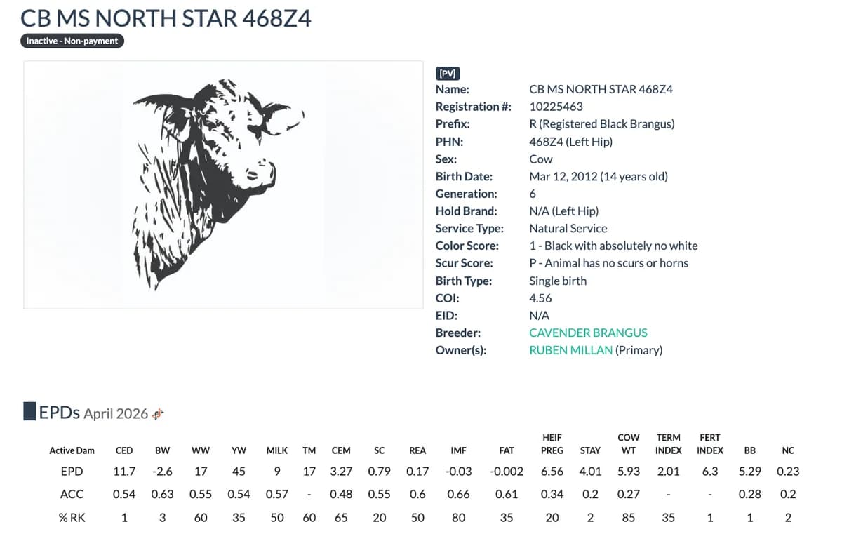 Dam — CB MS NORTH STAR 468Z4