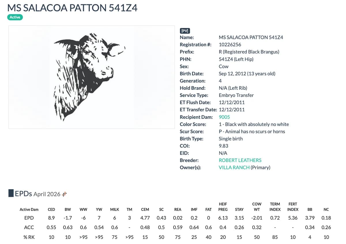 Dam — MS SALACOA PATTON 541Z4