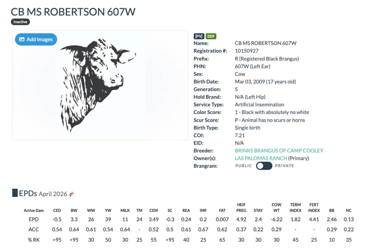 Dam — CB MS ROBERTSON 607W